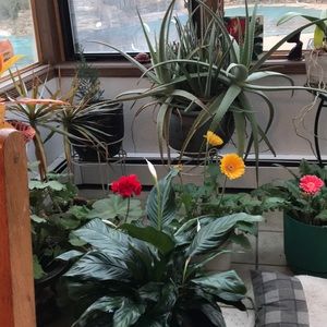 Meet your Posher, Rosa